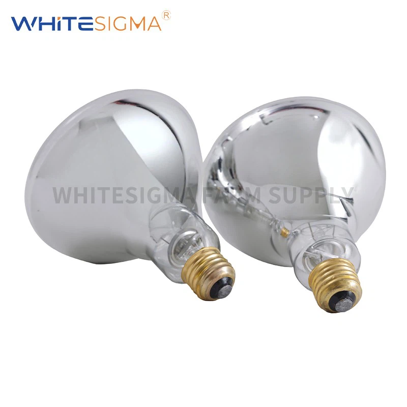 Dimpled Hard Glass Heat Bulb-BR38 best
