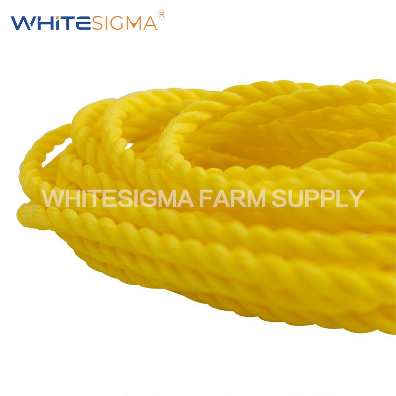 PP Braided Rope factory