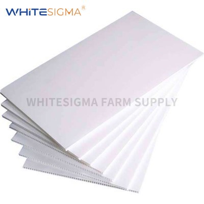 Gofreeritud plastleht